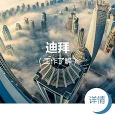 描述