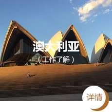描述