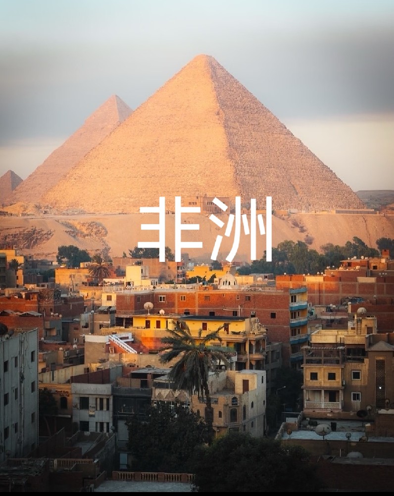 描述