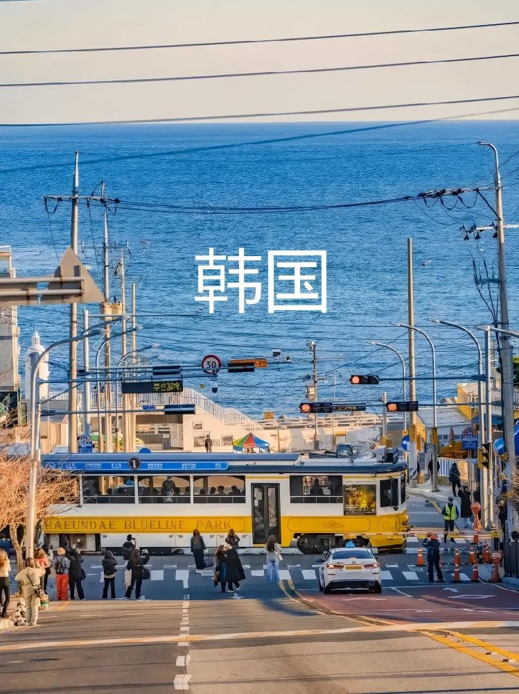 描述